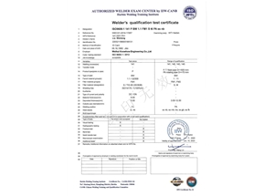 TIG-FM1-PA（ss，nb）---Liu Wenlong