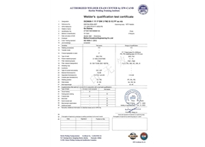 SMAW-FM2-PF（ss，mb）---Qu Ziqiang